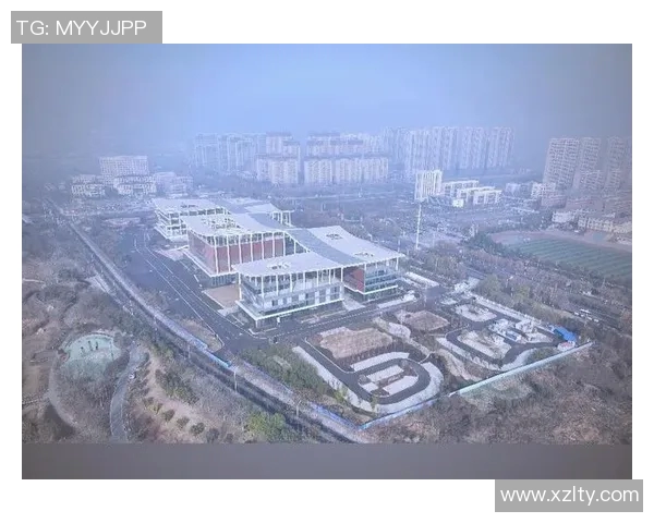 场馆打造与文化融合：推动城市发展的新型空间模式探索