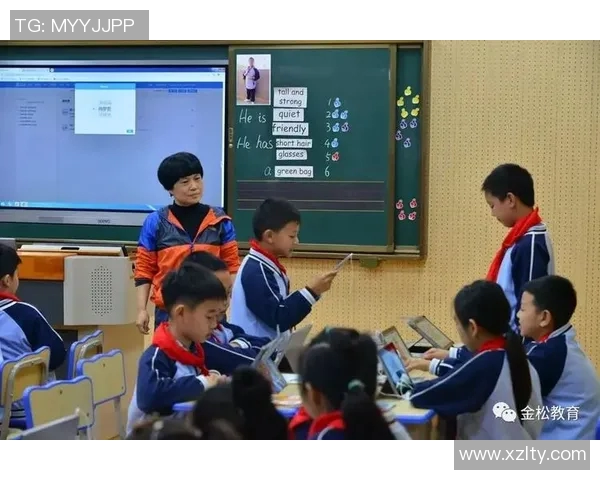 深度对话王芳排球人生的起伏与坚持背后的故事分享