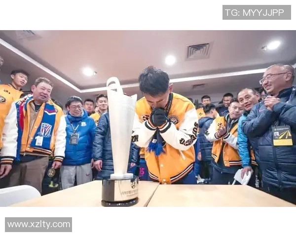 FPX战队蜕变之路揭秘：从巅峰到重生的奋斗历程与未来展望