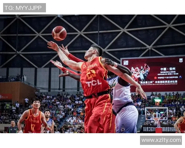 专访杨磊：深入探讨篮球领域的成功秘诀与成长之路