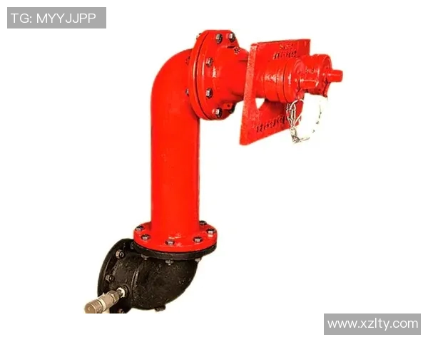 消防设备的种类与选购指南及其在现代建筑中的重要作用分析