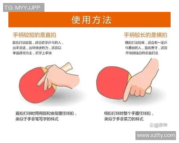 从零起步掌握乒乓球技巧与意识的全面指南与实战经验分享